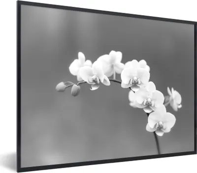 Produktbild von MuchoWow® Gerahmtes Poster Orchidee - Blumen - Pflanze - Weiß - Lila 80x60 cm - Poster mit Schwarzem Bilderrahmen Wandposter Rahmen Foto Bilder - Schwarzem - Mit Gestell