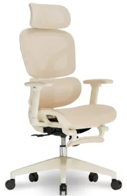 Obrázek produktu pro Ergonomická kancelárská židle BS5W-M2, ze sítoviny, merunka