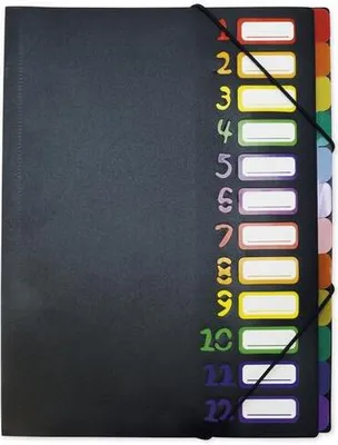 Zdjęcie produktu dla Teczka na biurko TimeTEX 1-12 A4-Plus, kolorowa z elastycznym zamknięciem