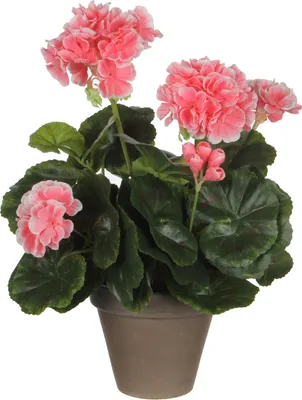 Produktbild von Mica Decorations Geranien Kunstpflanze im Blumentopf Stan - H34 x Ø20 cm - Pfirsich
