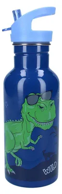 Obrázek produktu pro Vadobag 428-00430, Denní používání, 500 ml, Šroubovací víčko, Vícebarevný, Dětský, Chlapec