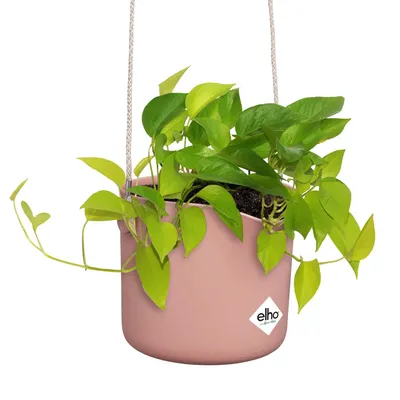Productafbeelding van elho 8711904515133, Roze, Kunststof, Rond, 100%, 100%, 2 meter
