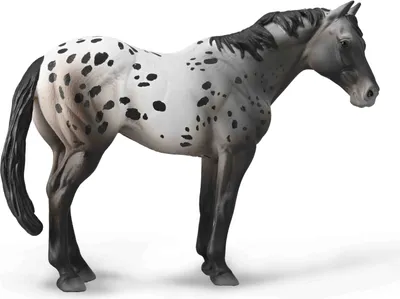 Zdjęcie produktu dla Ręcznie malowana figurka konia Appaloosa Blue Roan