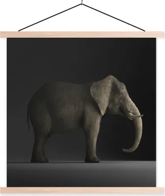 Produktbild von MuchoWow® Textilposter Elefant - Tiere - Licht 40x40 cm mit holzfarbenen Rahmen - Posterleiste