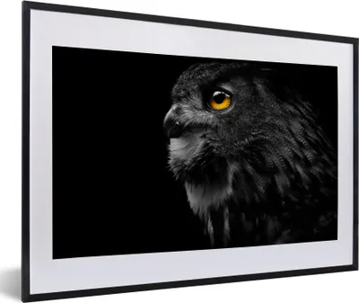 Produktbild von MuchoWow® Gerahmtes Poster Eule - Vogel - Schwarz - Porträt 60x40 cm - Poster mit Schwarzem Bilderrahmen Wandposter Rahmen Foto Bilder - Schlafzimmer - Plakat in Rahmen - Drucken