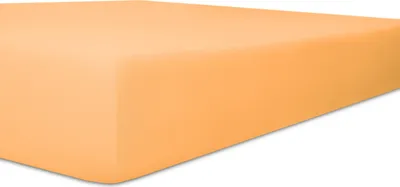 Produktbild von Kneer Vario-Stretch Q22 Spannbetttuch bis 30 cm hoch 140x200 bis 160x220 cm 140x200 ++