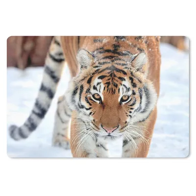 Produktbild von MuchoWow® Mauspad Mousepad Tiger - Schnee - Tiere 27x18 cm - Mousepads - Maus Mat - Pad - Mausunterlage - Büroartikel - Desk Matten