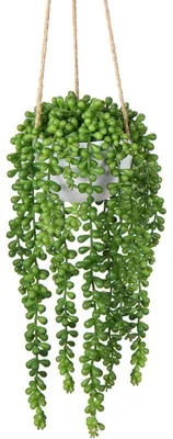 Produktbild von Künstliche Hängepflanze Senecio Hänger Sukkulenten 35.5 cm in Hängeampel Dekoration Grün