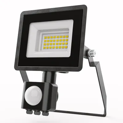 Image de HOFTRONIC - Projecteur LED avec détecteur 10W 6500K IP65 Noir