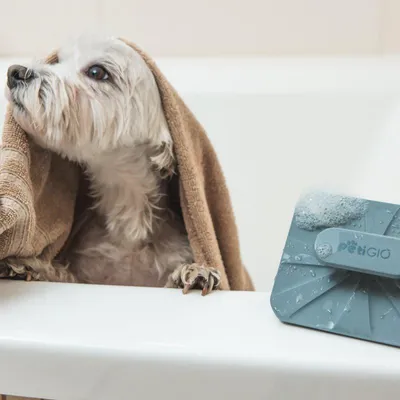 Obrázek produktu pro Peti-to-Care silikonový kartáček na péči o domácí mazlíčky
