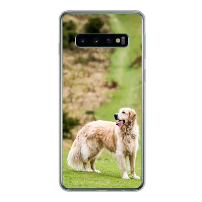 Produktbild von MuchoWow® Handyhülle Schutzhülle Hülle für Samsung Galaxy S10 Schönes Bild eines Golden Retrievers Silikon Softcase Handy Hülle - Handytasche
