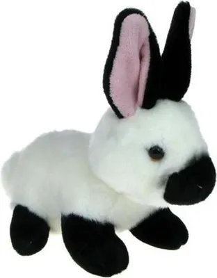 Image de Lapin noir et blanc 19cm 03606