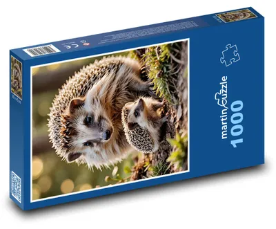 Produktbild von Puzzle 1000 Igel im Wald - martinpuzzle