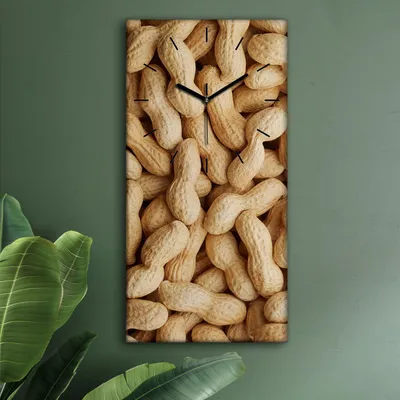 Produktbild von Wohnzimmer Leinwand Uhr Geräuschlos Küche 30x60 Nüsse, Motive, schwarze Zeiger