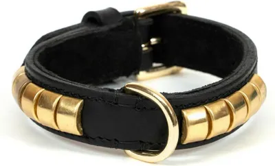 Immagine prodotto di Collare per cani Gloria Duna Black Golden (55 x 2,5 cm)
