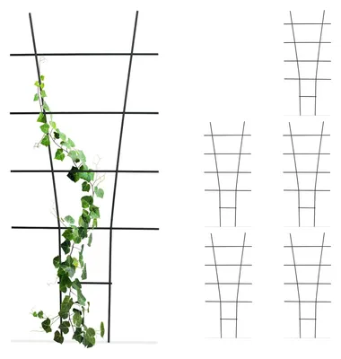 Productafbeelding van TRANKIELO® - Set van 6 metalen plantensteunen - Plantenklimrekken voor binnen en buiten - Zwart, 79x35 cm