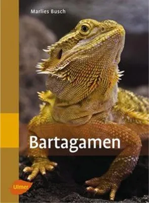 Produktbild von Bartagamen