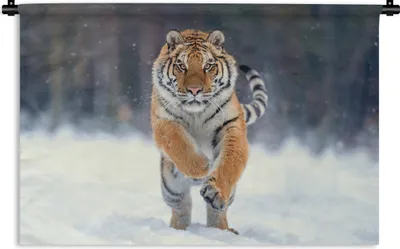Produktbild von MuchoWow® Wandteppich Wandbehang Tiger - Landschaft - Schnee - Tiere 60x40 cm Tapisserie Dekoration Wandtuch - Wanddekorationen