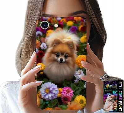 Zdjęcie produktu dla Etui Do Iphone 17E - Słodki Piesek, Pomeranian Case + Szkło
