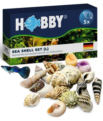 Produktbild von HOBBY Aquaristik Sea Shells Set L, Gemischte Farben, Frischwasser, Salzwasser, 5 Stück(e)