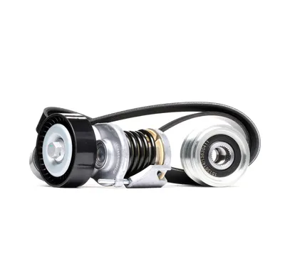 Produktbild von RIDEX 542R0280 Keilrippenriemensatz für VW GOLF VI (5K1)