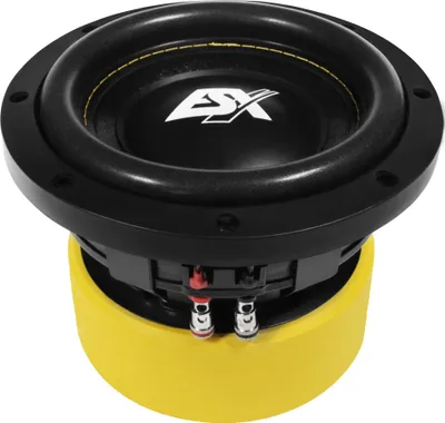 Produktbild von ESX QUANTUM Woofer Subwoofer Bass Tiefton Hifi QE-622