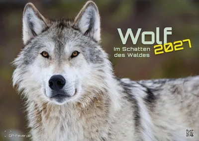 Obrázok produktu pre Nástenný kalendár na rok 2027 – Vlci s nádhernými fotografiami – formát A2