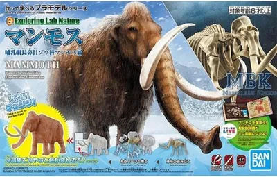 Obrázek produktu pro BANDAI BAN2569522 Mamut – Průzkumná laboratoř Příroda