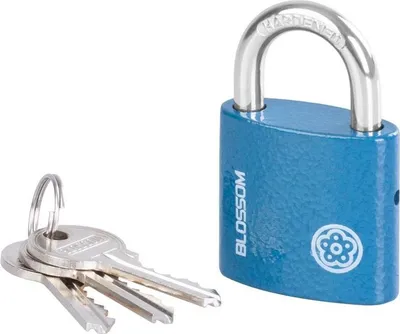 Produktbild von Schloss Blossom 2538 38 mm, Vorhängeschloss