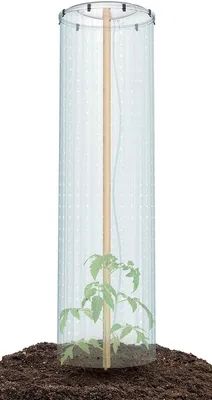 Schutzfolie für Tomatenpflanzen - Pflanzenschutz für Garten und Terrasse