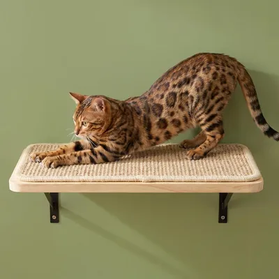 Produktbild von Katzenwandregal mit Kratzmatte, Kiefernholz, Wandmontage, für Katzen