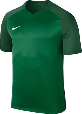 Produktbild von Nike T-shirt Dry Trophy Iii Jersey, 881483302, Größe: 173
