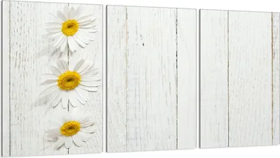 Produktbild von Glasschutzplatte für Herd 3x30x52