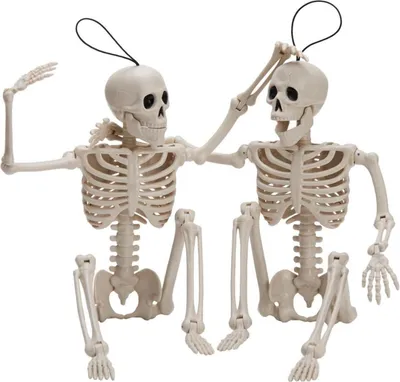 Obrázek produktu pro JOYIN 40,6 cm halloweenská sada kostlivců k dekoraci
