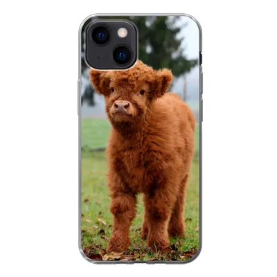 Produktbild von MuchoWow® Handyhülle Schutzhülle Hülle für iPhone 13 mini Scottish Highlander - Kalb - Gras Silikon Softcase Handy Hülle - Softcase