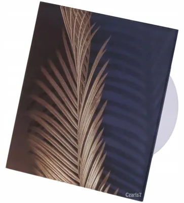 Produktbild von Glaslüfter FH28 mit Zeitschaltuhr Ø 120 mm