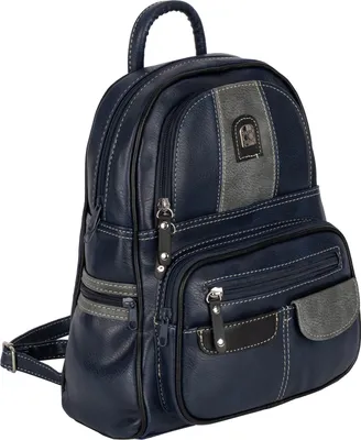 Produktbild von Cityrucksack Damenrucksack Tagesrucksack Stadt Rucksack Bagpack BLAU (15130)