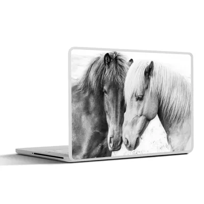 Produktbild von MuchoWow® Laptop Aufkleber Sticker Cover Pferde - Tiere - Schwarz und weiß - Natur 25x18 cm - Laptop-Deko