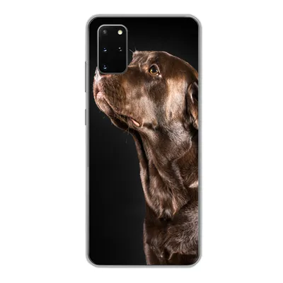 Produktbild von MuchoWow® Handyhülle Schutzhülle Hülle für Samsung Galaxy S20 Plus Hund - Braun - Porträt Silikon Softcase Handy Hülle - Hartschale