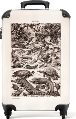 Produktbild von NoBoringSuitcases.com® Koffer Handgepäck Trolley Rollkoffer Kleine Reisekoffer mit 4 Rollen - Vintage - Retro - Tiere - Reptilien - Illustration - Cabin Size < 55x40x23 cm & 55x40x20 cm - Fotokoffer - Kabinenkoffer - BoardgepäckHandgepäck Koffer 55x35x20 cm, 36L,