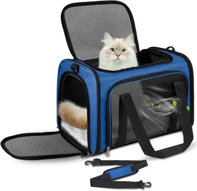 Productafbeelding van Transporttas voor katten en honden - Draagbare hondentransportbox - Opvouwbare kattentransportbox - Draagbox voor middelgrote honden - B