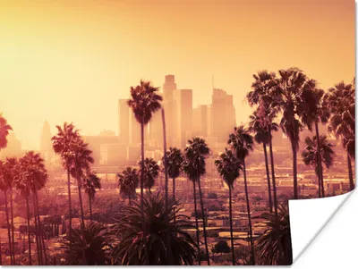 Produktbild von MuchoWow® Poster Palme - Skyline - Sonnenuntergang - Architektur 120x90 cm - Wandbild