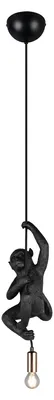 Produktbild von Trio - Hängelampe FIPS - Schwarz - 0x0x150 cm