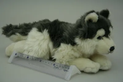 Zdjęcie produktu dla Pluszowy Husky