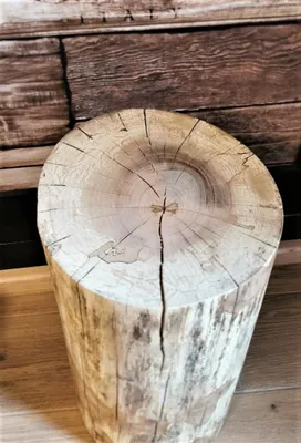 A tree stump side table or decorative item sits on a wooden floor in front of a wooden textured wall.