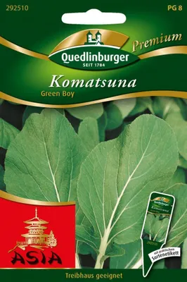 Zdjęcie produktu dla Nasiona Quedlinburger - Komatsuna Green Boy - nasiona - 292510