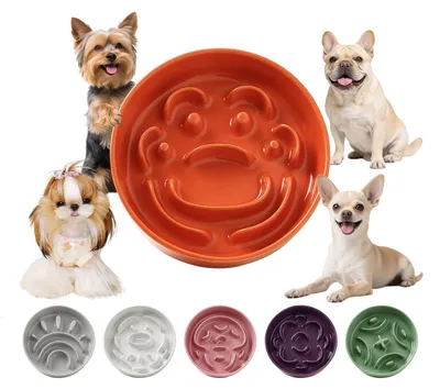 Immagine prodotto di Ciotola in Vetroceramica per cani di piccola taglia, progettata per rallentare la velocità di alimentazione