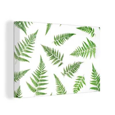 Obrázek produktu pro OneMillionCanvasses® Malba na plátně Nástěnná malba na plátně - Tropical - kapradina - zelená - 150x100cm