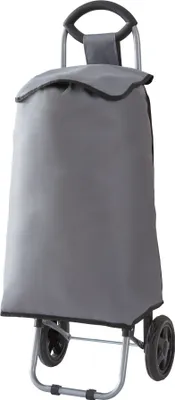 A gray shopping trolley with black wheels and handle, shown against a white background.