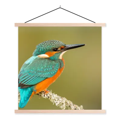 Produktbild von MuchoWow® Textilposter Eisvogel - Tiere - Vogel 120x120 cm mit holzfarbenen Rahmen - Textil-Poster